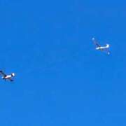 ヒメ日記 2025/01/19 06:39 投稿 千春 桃李（とうり）