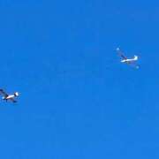 ヒメ日記 2025/01/19 06:55 投稿 千春 桃李（とうり）