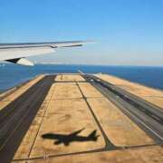 ヒメ日記 2025/01/23 06:44 投稿 千春 桃李（とうり）