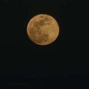 ヒメ日記 2025/02/13 06:39 投稿 千春 桃李（とうり）