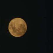 ヒメ日記 2025/02/13 06:44 投稿 千春 桃李（とうり）