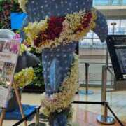 ヒメ日記 2025/02/14 06:36 投稿 千春 桃李（とうり）