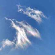 ヒメ日記 2025/02/17 06:43 投稿 千春 桃李（とうり）