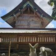 ヒメ日記 2025/03/12 09:34 投稿 千春 桃李（とうり）