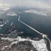 ヒメ日記 2025/03/17 07:04 投稿 千春 桃李（とうり）