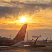 ヒメ日記 2025/03/20 07:14 投稿 千春 桃李（とうり）