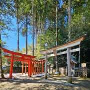 ヒメ日記 2025/03/23 06:54 投稿 千春 桃李（とうり）