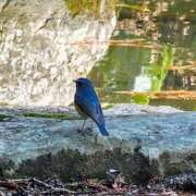 ヒメ日記 2025/03/24 06:43 投稿 千春 桃李（とうり）