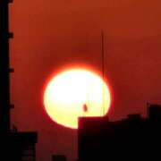 ヒメ日記 2025/04/16 06:40 投稿 千春 桃李（とうり）