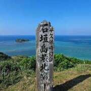 ヒメ日記 2025/04/29 07:08 投稿 千春 桃李（とうり）