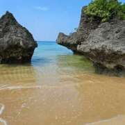 ヒメ日記 2025/04/30 06:45 投稿 千春 桃李（とうり）