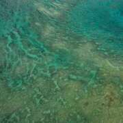 ヒメ日記 2025/05/07 06:41 投稿 千春 桃李（とうり）