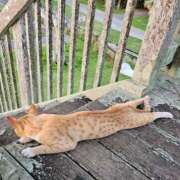 ヒメ日記 2025/05/08 06:39 投稿 千春 桃李（とうり）