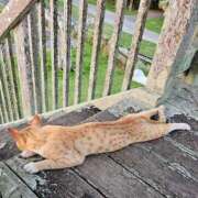 ヒメ日記 2025/05/08 06:56 投稿 千春 桃李（とうり）