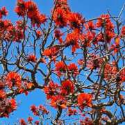 ヒメ日記 2025/05/12 06:35 投稿 千春 桃李（とうり）