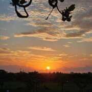 ヒメ日記 2025/05/14 07:04 投稿 千春 桃李（とうり）