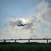 ヒメ日記 2025/05/16 06:46 投稿 千春 桃李（とうり）