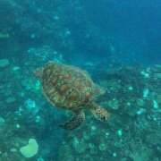 ヒメ日記 2025/05/22 06:50 投稿 千春 桃李（とうり）