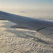 ヒメ日記 2025/06/06 06:47 投稿 千春 桃李（とうり）