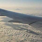 ヒメ日記 2025/06/06 07:06 投稿 千春 桃李（とうり）