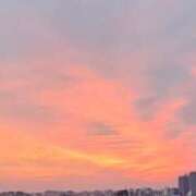 ヒメ日記 2025/06/09 06:43 投稿 千春 桃李（とうり）