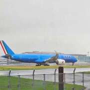 ヒメ日記 2025/06/13 06:54 投稿 千春 桃李（とうり）