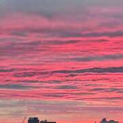 ヒメ日記 2025/06/23 06:45 投稿 千春 桃李（とうり）