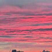 ヒメ日記 2025/06/23 07:01 投稿 千春 桃李（とうり）