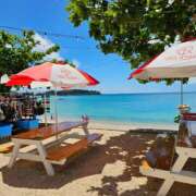 ヒメ日記 2025/07/02 06:40 投稿 千春 桃李（とうり）