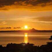 ヒメ日記 2025/07/11 06:42 投稿 千春 桃李（とうり）