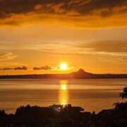 ヒメ日記 2025/07/11 06:54 投稿 千春 桃李（とうり）