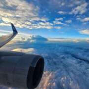 ヒメ日記 2025/07/23 06:41 投稿 千春 桃李（とうり）