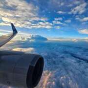 ヒメ日記 2025/07/23 06:55 投稿 千春 桃李（とうり）