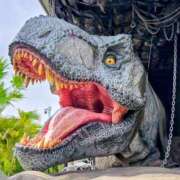 ヒメ日記 2025/08/05 09:30 投稿 千春 桃李（とうり）