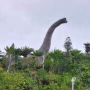 ヒメ日記 2025/08/07 09:34 投稿 千春 桃李（とうり）