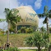 ヒメ日記 2025/08/08 10:04 投稿 千春 桃李（とうり）