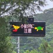 ヒメ日記 2025/08/13 06:59 投稿 千春 桃李（とうり）