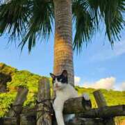 ヒメ日記 2025/08/18 07:07 投稿 千春 桃李（とうり）