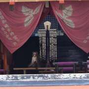 ヒメ日記 2025/08/19 06:42 投稿 千春 桃李（とうり）