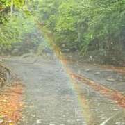 ヒメ日記 2025/08/24 06:44 投稿 千春 桃李（とうり）