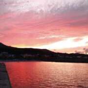 ヒメ日記 2025/09/08 06:54 投稿 千春 桃李（とうり）