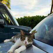 ヒメ日記 2025/09/12 06:43 投稿 千春 桃李（とうり）