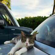 ヒメ日記 2025/09/12 06:54 投稿 千春 桃李（とうり）