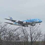 ヒメ日記 2025/10/14 06:46 投稿 千春 桃李（とうり）