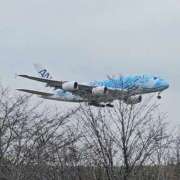 ヒメ日記 2025/10/14 06:54 投稿 千春 桃李（とうり）