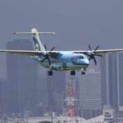 ヒメ日記 2025/10/19 06:48 投稿 千春 桃李（とうり）