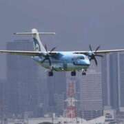 ヒメ日記 2025/10/19 07:04 投稿 千春 桃李（とうり）