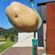 ヒメ日記 2025/10/20 09:41 投稿 千春 桃李（とうり）