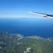 ヒメ日記 2025/10/30 07:06 投稿 千春 桃李（とうり）