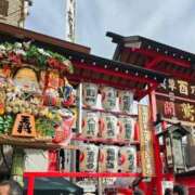 ヒメ日記 2025/11/14 06:54 投稿 千春 桃李（とうり）